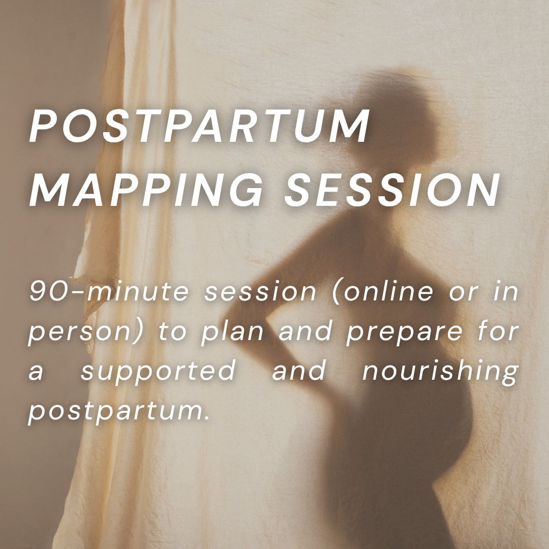 Postpartum Mapping Session